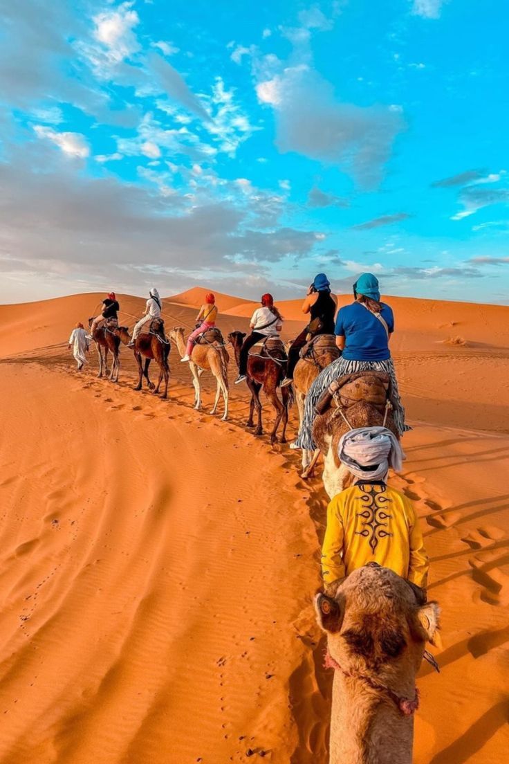 Sahara Desert Camel Trek